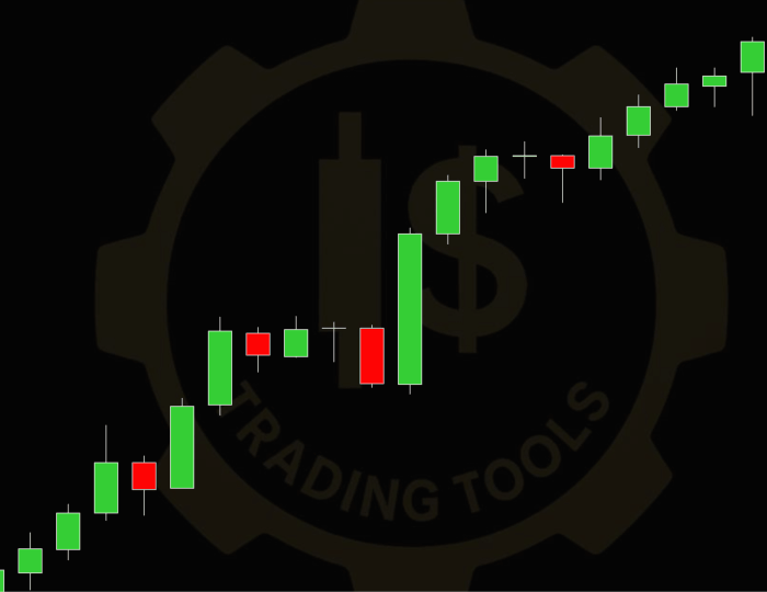 IS Regla para NinjaTrader 8 midiendo puntos, ticks, dólares, pips y porcentaje
